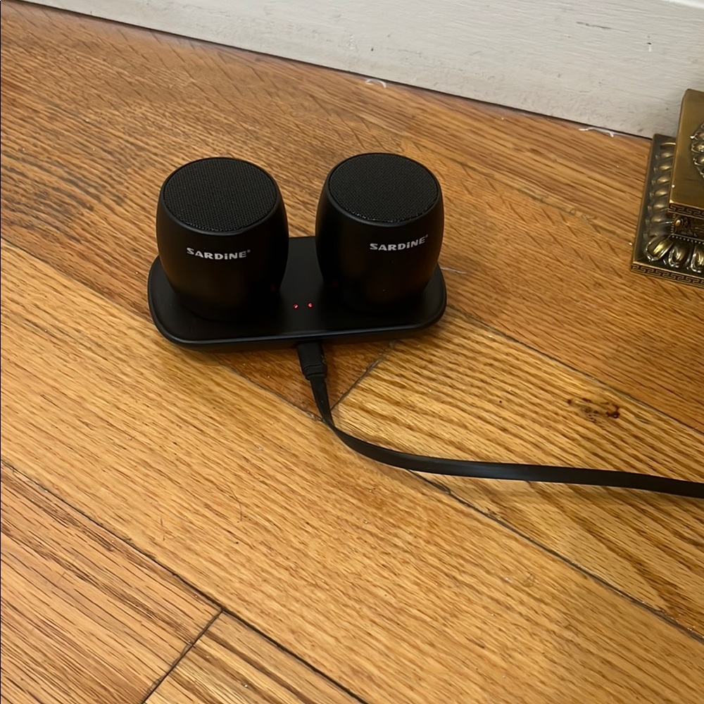 Black Wireless Charging Speakers